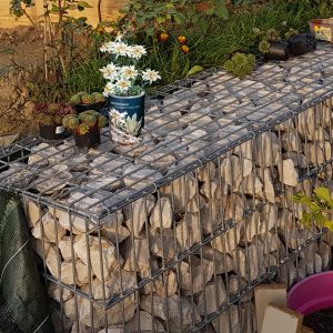 Edelweiss BCGE Praevisio