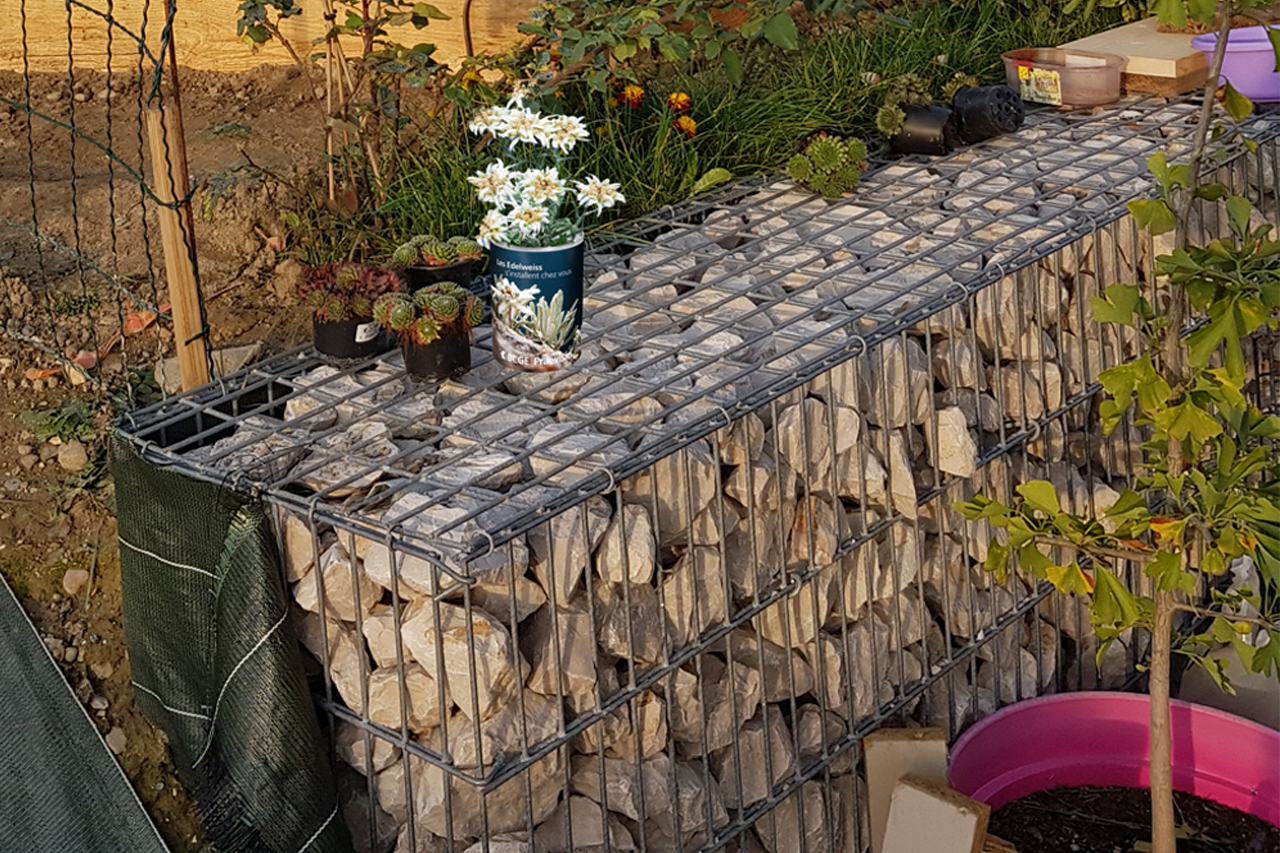 Edelweiss BCGE Praevisio