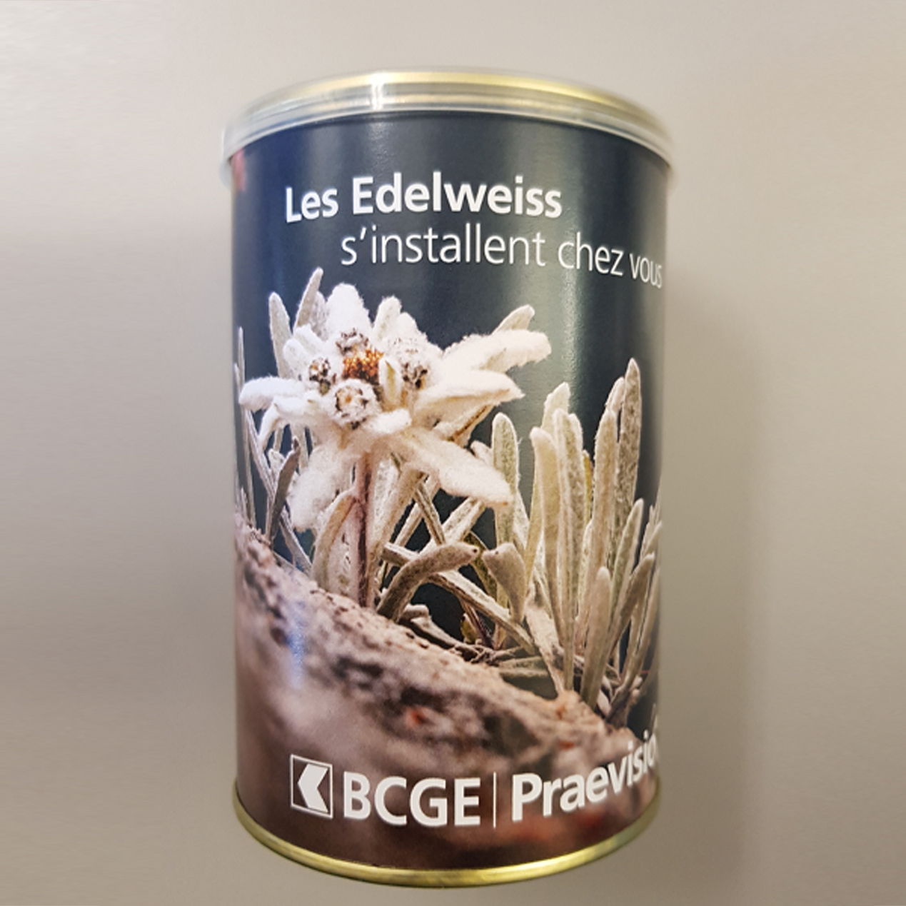 Edelweiss BCGE Praevisio – Image 2