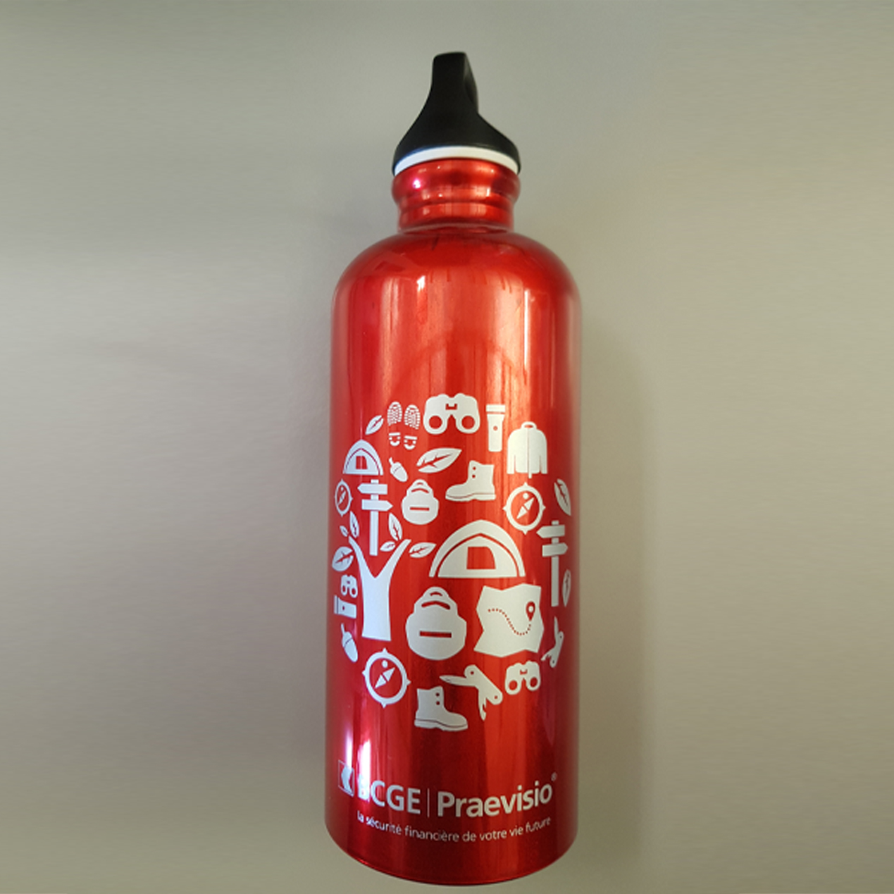 Gourde BCGE Praevisio – Image 3